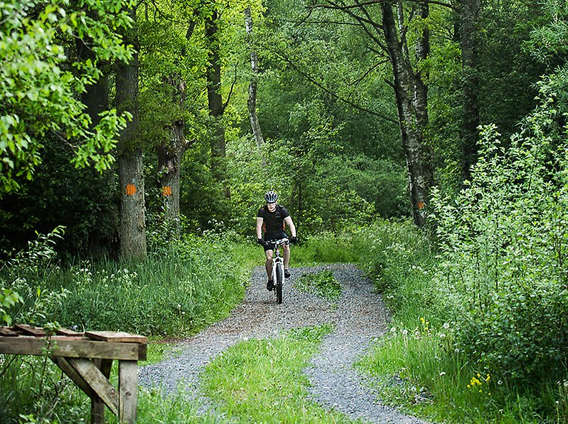 En man som cyklar på en skogsväg