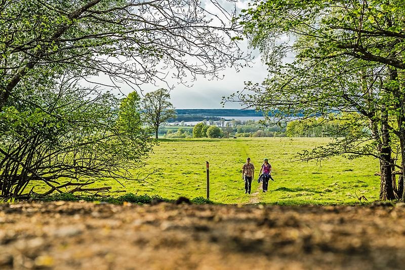Två personer syns på avstånd. De vandrar ute i den gröna fältet. 