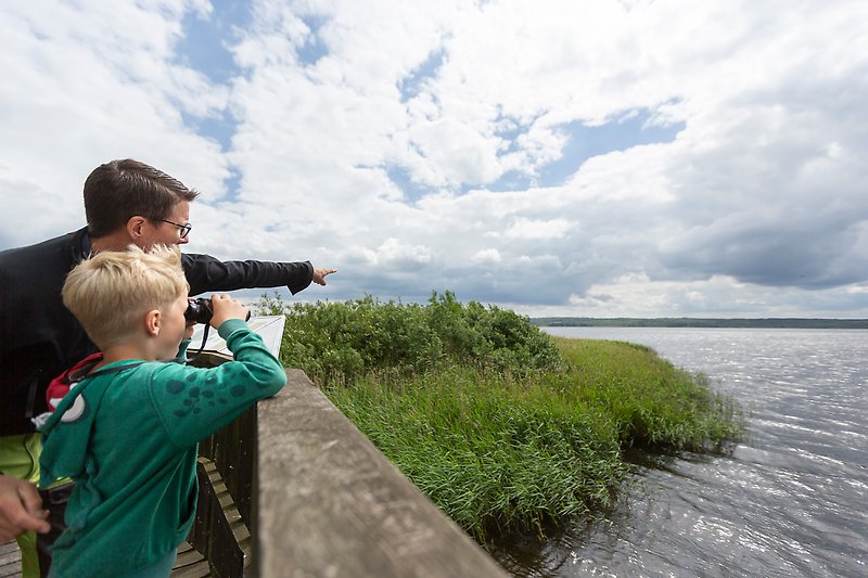En pappa och en pojke står i fågelplattformen vid en sjö och kikar efter fåglar