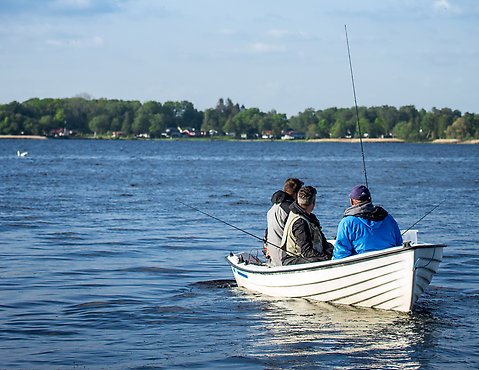 Flera personer är ute i en båt och fiskar på Finjasjön.