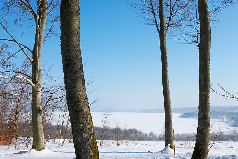 Fin utsikt från Trädhuset ner över Finjasjön även när det är vinter och snö.
