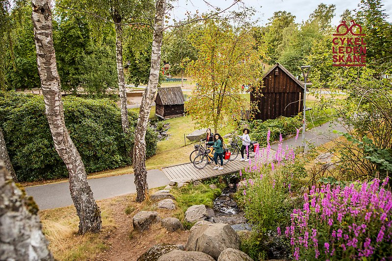 Tre tjejer med cykel går genom en park med björkar och gamla bruna små hus.