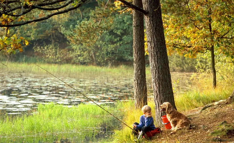En pojke sitter vid en sjö och fiskar tillsammans med en Golden Retriever